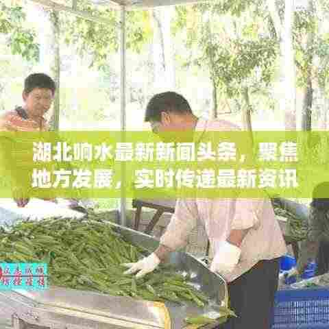 湖北响水最新新闻头条,聚焦地方发展,实时传递最新资讯