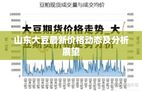 山东大豆最新价格动态及分析展望