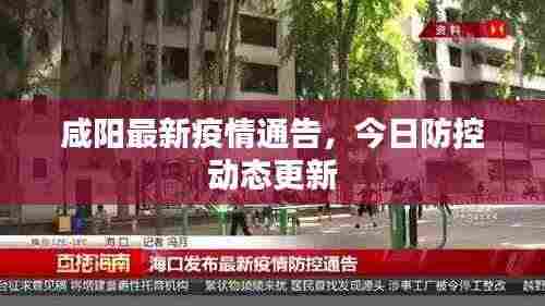 咸阳最新疫情通告,今日防控动态更新