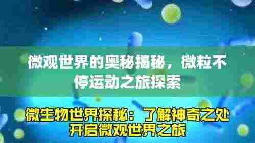 微观世界的奥秘揭秘,微粒不停运动之旅探索