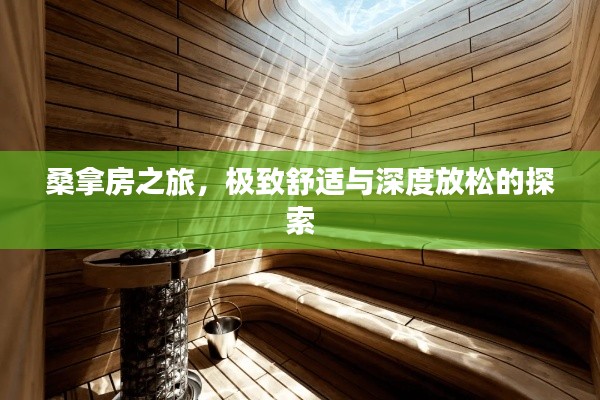 桑拿房之旅，极致舒适与深度放松的探索
