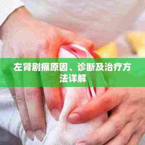 左肾剧痛原因、诊断及治疗方法详解