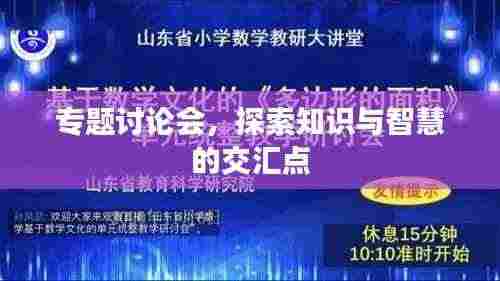 专题讨论会,探索知识与智慧的交汇点