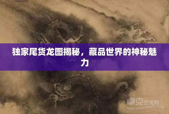 独家尾货龙图揭秘，藏品世界的神秘魅力