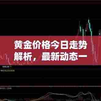 黄金价格今日走势解析,最新动态一览