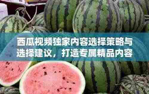 西瓜视频独家内容选择策略与选择建议,打造专属精品内容吸引眼球
