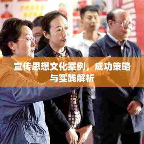 宣传思想文化案例,成功策略与实践解析