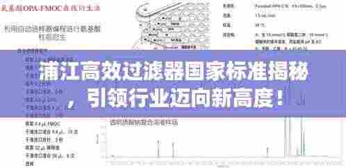 母凭子贵 第3页