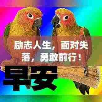 励志人生,面对失落,勇敢前行!