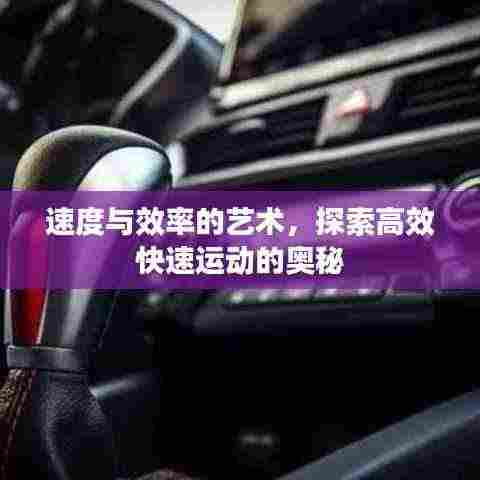 速度与效率的艺术,探索高效快速运动的奥秘