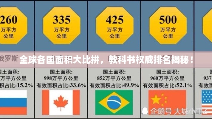 惊弓之鸟 第3页