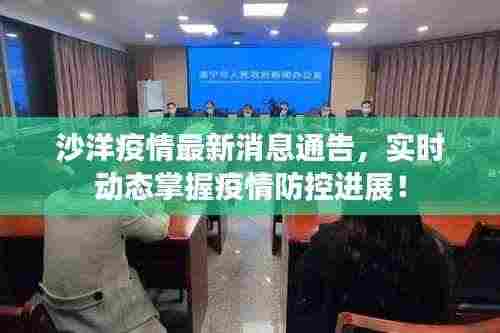 沙洋疫情最新消息通告,实时动态掌握疫情防控进展!