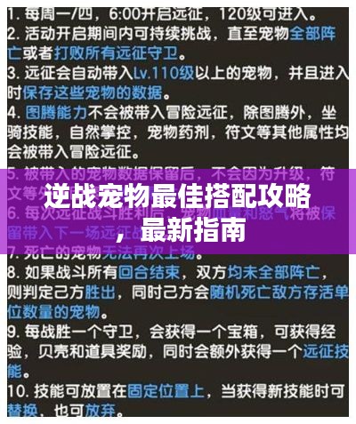 逆战宠物最佳搭配攻略,最新指南