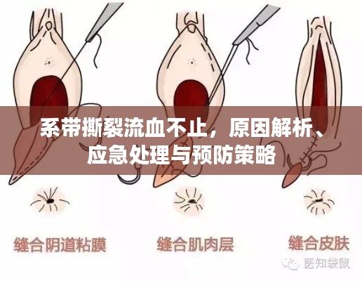 系带撕裂流血不止,原因解析、应急处理与预防策略