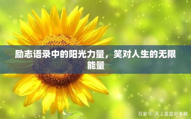 励志语录中的阳光力量，笑对人生的无限能量