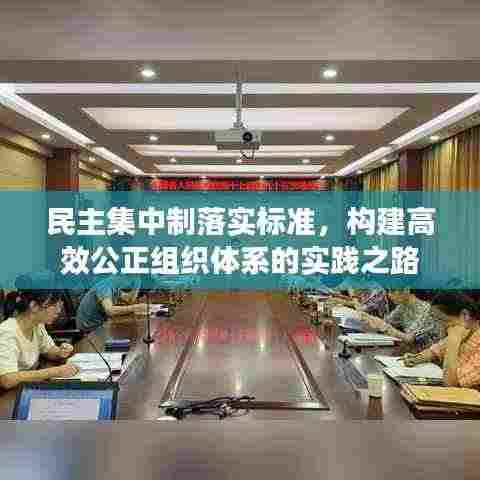 民主集中制落实标准,构建高效公正组织体系的实践之路