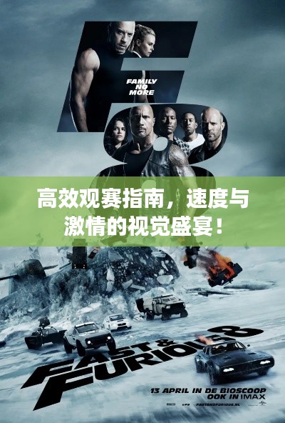 高效观赛指南,速度与激情的视觉盛宴!