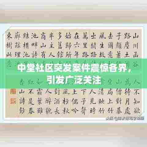 囊萤映雪 第3页