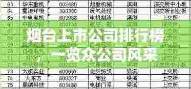 烟台上市公司排行榜,一览众公司风采