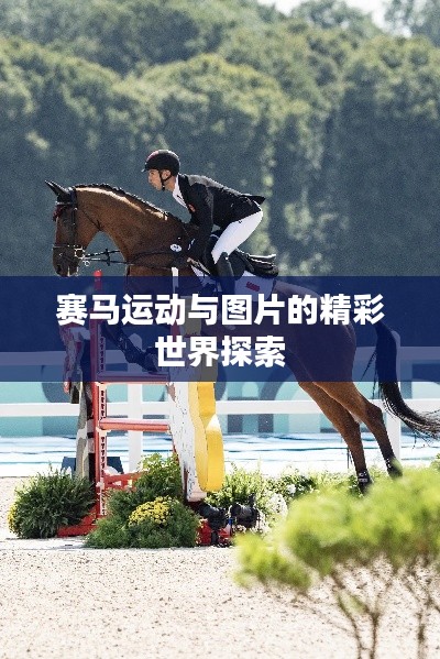 赛马运动与图片的精彩世界探索