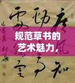 规范草书的艺术魅力,探索其独特韵味与传承价值