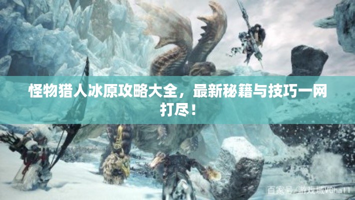 怪物猎人冰原攻略大全,最新秘籍与技巧一网打尽!
