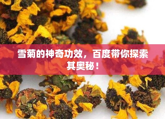 雪菊的神奇功效,百度带你探索其奥秘!