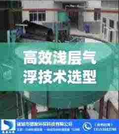 高效浅层气浮技术选型解析与应用展望,应用前景及选型指南