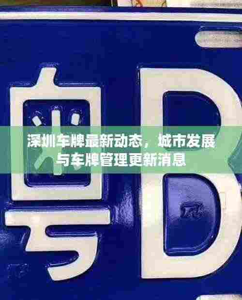 深圳车牌最新动态,城市发展与车牌管理更新消息