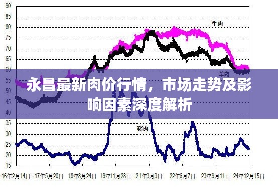 永昌最新肉价行情，市场走势及影响因素深度解析