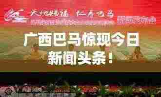 广西巴马惊现今日新闻头条!