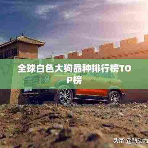 鬼张鬼智 第3页