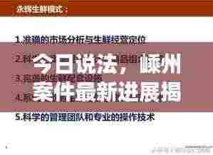 今日说法,嵊州案件最新进展揭秘
