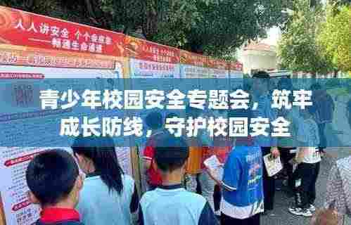 青少年校园安全专题会，筑牢成长防线，守护校园安全