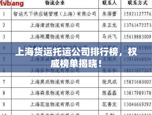 上海货运托运公司排行榜，权威榜单揭晓！