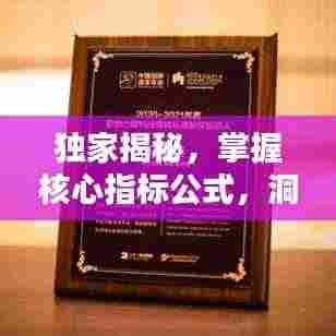 独家揭秘，掌握核心指标公式，洞悉奥秘秘籍大全