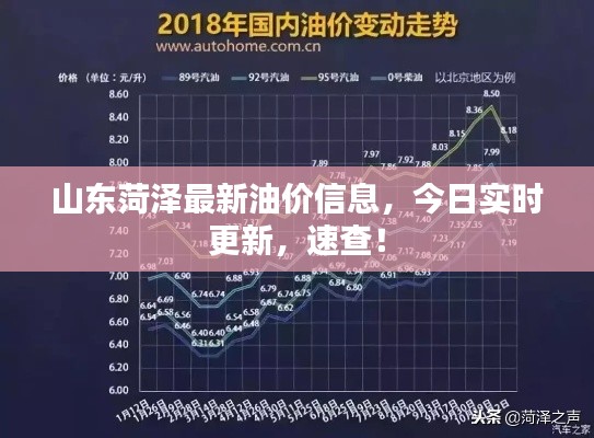 山东菏泽最新油价信息，今日实时更新，速查！